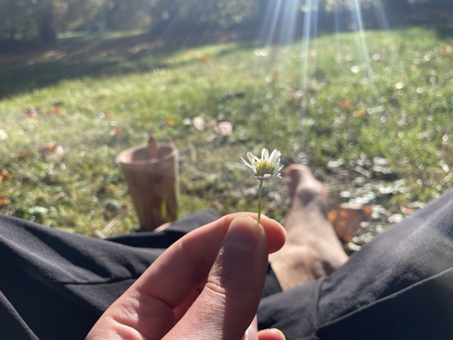 Meditation in Nature