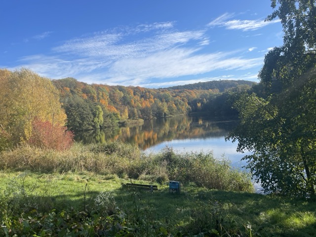 Tonkuhle in autumn in Hildesheim