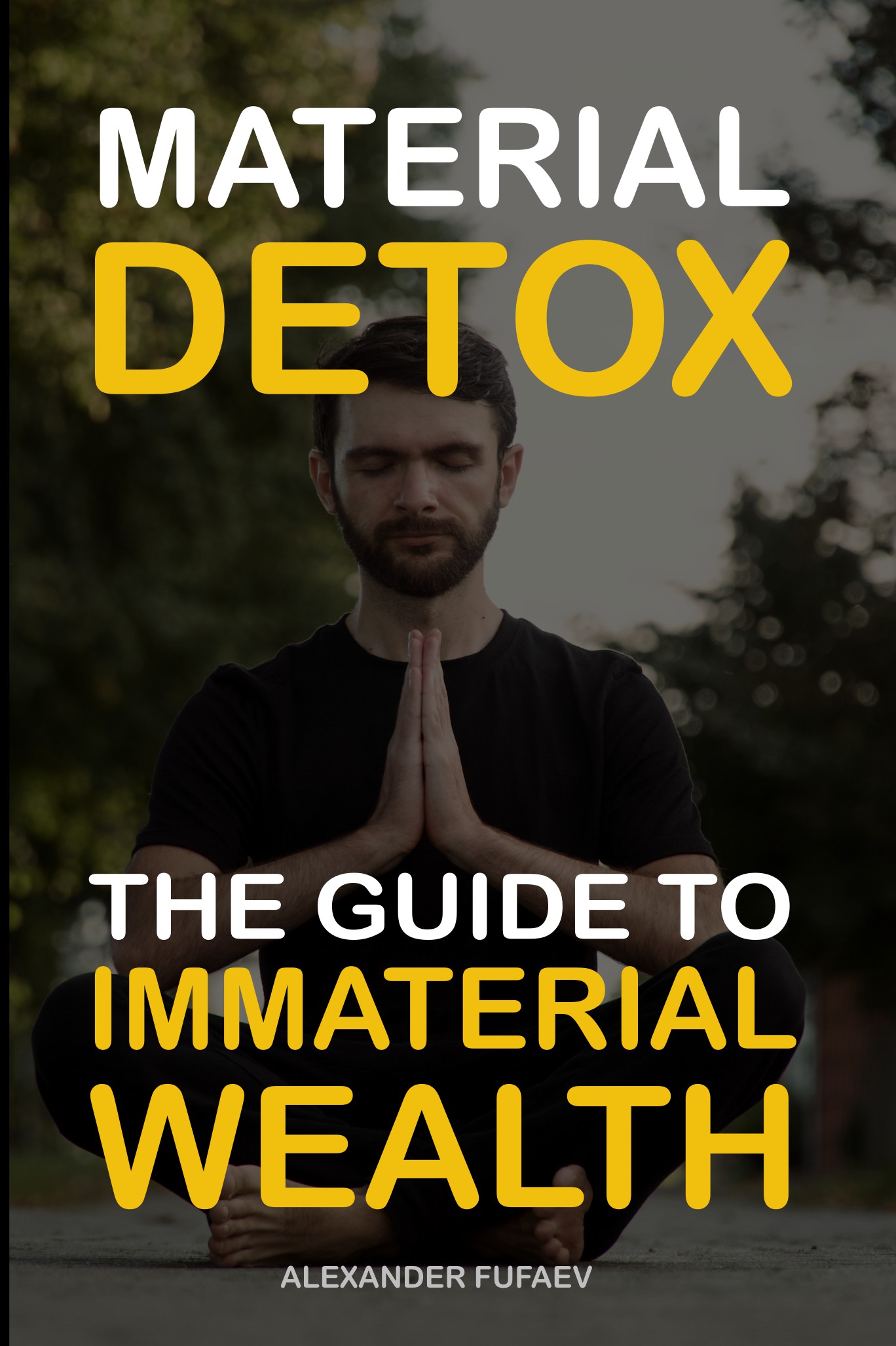 Book cover: Material Detox (Minimalism)